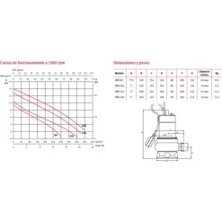 Espa Leader - Espa Pompe De Drainage BISA 750S M 600W 13.000L/h
