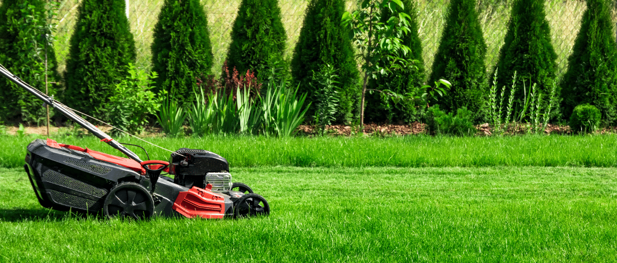 Feider Soldes 2022 2 Feider Soldes 2022 -Feider Soldes 2022 tonte pelouse jardin